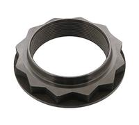 Dado fusello Assale posteriore 46180 FEBI BILSTEIN per IVECO DAILY IV Autobus