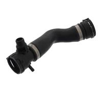 Febi 49257 Raffreddamento Motore - NUOVO