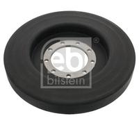 FEBI Ammortizzatore albero a gomiti MAN NEOPLAN 10,5 12,4 51.02201.0172