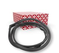 Guarnizione della portiera FEBI BILSTEIN 01960