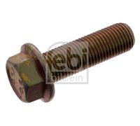 FEBI BILSTEIN 02579 Bullone/Vite