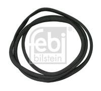 FEBI BILSTEIN 02789 Guarnizione, Parabrezza per MERCEDES-BENZ