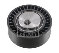 Rullo tenditore cinghia trapezoidale Plastica 05801 FEBI BILSTEIN per CITROËN