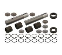 FEBI BILSTEIN 05931 Kit riparazione, Perno fuso a snodo