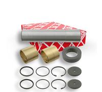 FEBI BILSTEIN 06009 Kit riparazione, Perno fuso a snodo