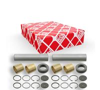 FEBI BILSTEIN 06010 Kit riparazione, Perno fuso a snodo