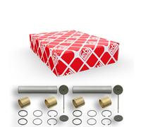 FEBI BILSTEIN 06017 Kit riparazione, Perno fuso a snodo