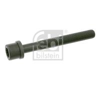 FEBI BILSTEIN 06666 Bullone testata per AUDI,SEAT,VW