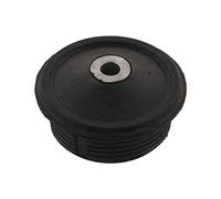 FEBI BILSTEIN 07608 Supporto assale