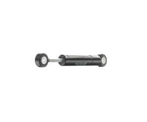 FEBI BILSTEIN 08778 Smorzatore vibrazioni, Cinghia Poly-V