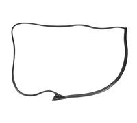 Guarnizione della portiera FEBI BILSTEIN 08877 sinistra