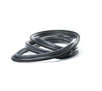 FEBI BILSTEIN 08893 Guarnizione, Lunotto post.