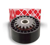 FEBI BILSTEIN 09789 Galoppino guidacinghia, cinghia Poly-V