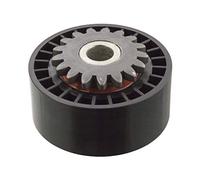 Febi Bilstein 09789 Galoppino/Guidacinghia Cinghia Poly-V