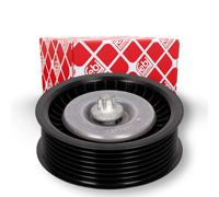 FEBI BILSTEIN 100171 Galoppino guidacinghia, cinghia Poly-V