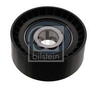 FEBI BILSTEIN 100172 Galoppino/Guidacinghia, Cinghia Poly-V per CHEVROLET,OPEL,V