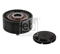 FEBI BILSTEIN 100252 Galoppino/Guidacinghia, Cinghia Poly-V per BMW