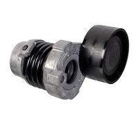FEBI BILSTEIN 100294 Tenditore cinghia servizi