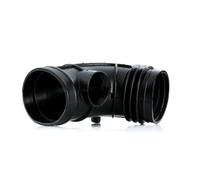 Tubo di aspirazione, filtro aria FEBI BILSTEIN 100395