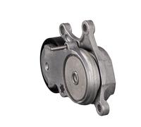 FEBI BILSTEIN 100625 Tenditore cinghia servizi