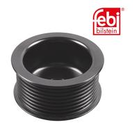 Febi BILSTEIN 101062 Puleggia per Generatore per Neo Piano, Man