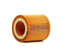 FEBI BILSTEIN 101322 Filtro olio per BMW 1 Hatchback (F20) X1 (E84) 5 GT (F07)