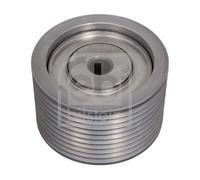 FEBI BILSTEIN 101427 Galoppino/Guidacinghia, Cinghia Poly-V per RENAULT TRUCKS,V