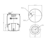 Febi Bilstein 101739 aria molla soffietto