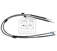 FEBI BILSTEIN 101801 Cavo comando, Freno stazionamento per FORD,FORD AUSTRALIA