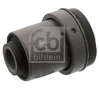 FEBI BILSTEIN 102093 Supporto, Braccio oscillante per FORD,MAZDA