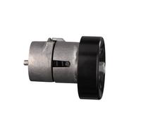 FEBI BILSTEIN Tensionatore Cinghia Poly V Per Hyundai Santa Fé I SM 2.7 V6