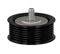 FEBI BILSTEIN 102206 Galoppino guidacinghia, cinghia Poly-V