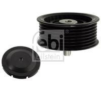 FEBI BILSTEIN 102206 Galoppino/Guidacinghia, Cinghia Poly-V per PORSCHE