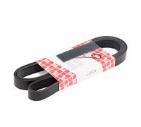 FEBI BILSTEIN 102310 Cinghia servizi