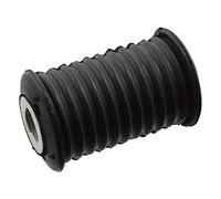 Febi Bilstein 102407 molla a balestra Cuscinetto