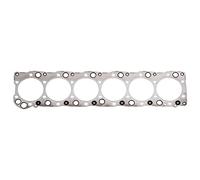 FEBI BILSTEIN 102428 Guarnizione testata