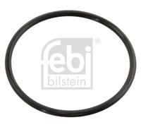 FEBI BILSTEIN 10258 Guarnizione, Termostato per MERCEDES-BENZ,VW