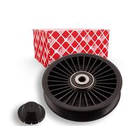 FEBI BILSTEIN 102580 Galoppino guidacinghia, cinghia Poly-V