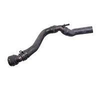 FEBI BILSTEIN 103134 Flessibile radiatore