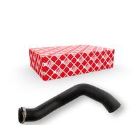 FEBI BILSTEIN 103163 Flessibile aria alimentazione