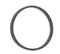 FEBI BILSTEIN 103795 Guarnizione