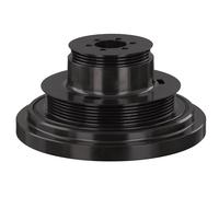 FEBI BILSTEIN 104280 Puleggia cinghia albero a gomiti
