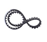 FEBI BILSTEIN 104829 Cinghia dentata