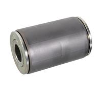 FEBI BILSTEIN 105890 Bronzina cuscinetto, Molla a balestra
