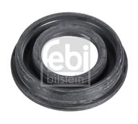 FEBI BILSTEIN 106242 Guarnizione, Portapolverizzatore per AUDI,CITROËN,FORD,MAZD
