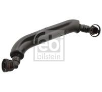 Tubo flessibile, ventilazione del carter FEBI BILSTEIN 106517, destro
