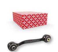 Braccio oscillante Assale posteriore Sx Braccio trasversale oscillante 106917