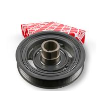 FEBI BILSTEIN 107196 Puleggia cinghia albero a gomiti