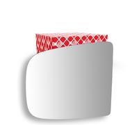 FEBI BILSTEIN 107873 Vetro specchio, Specchio esterno