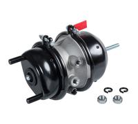 FEBI BILSTEIN 109334 Cilindro freno a membrana